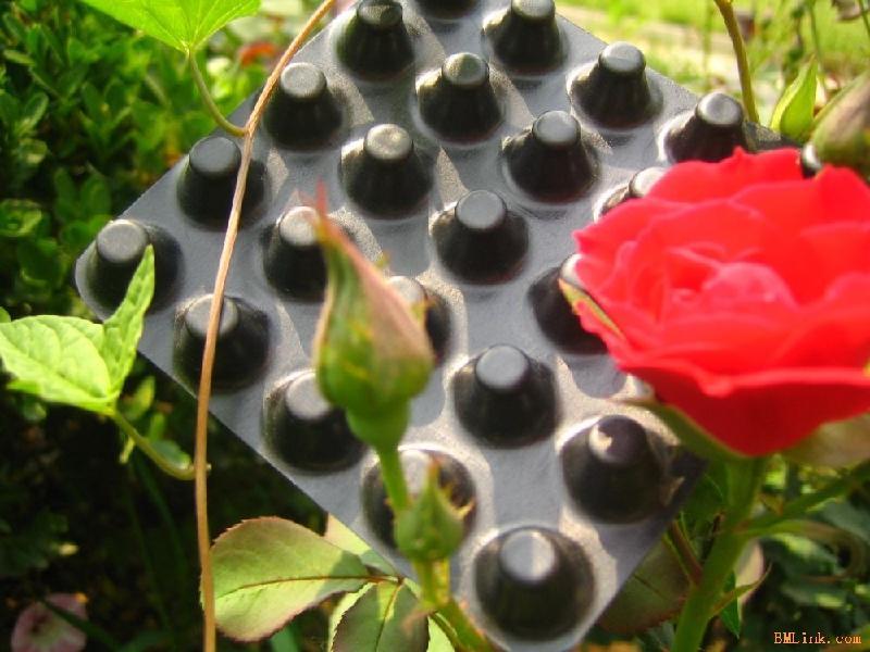 廣東/湛江屋頂綠化排水板（報價）車庫排水板