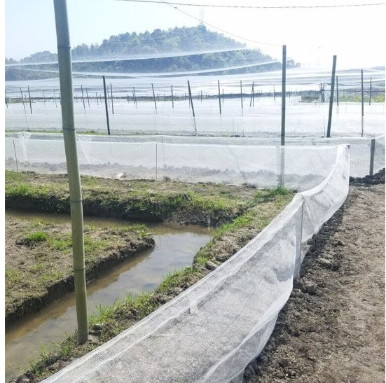 抗老化青蛙養(yǎng)殖圍網質量好耐用全新料耐日曬好圍網工廠直發(fā)